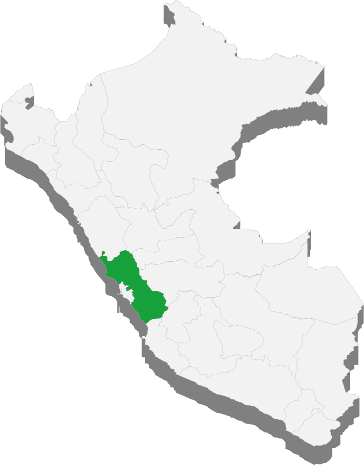 Distribuidores cerca de ti